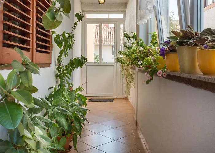 公寓 Grancaric 扎达尔